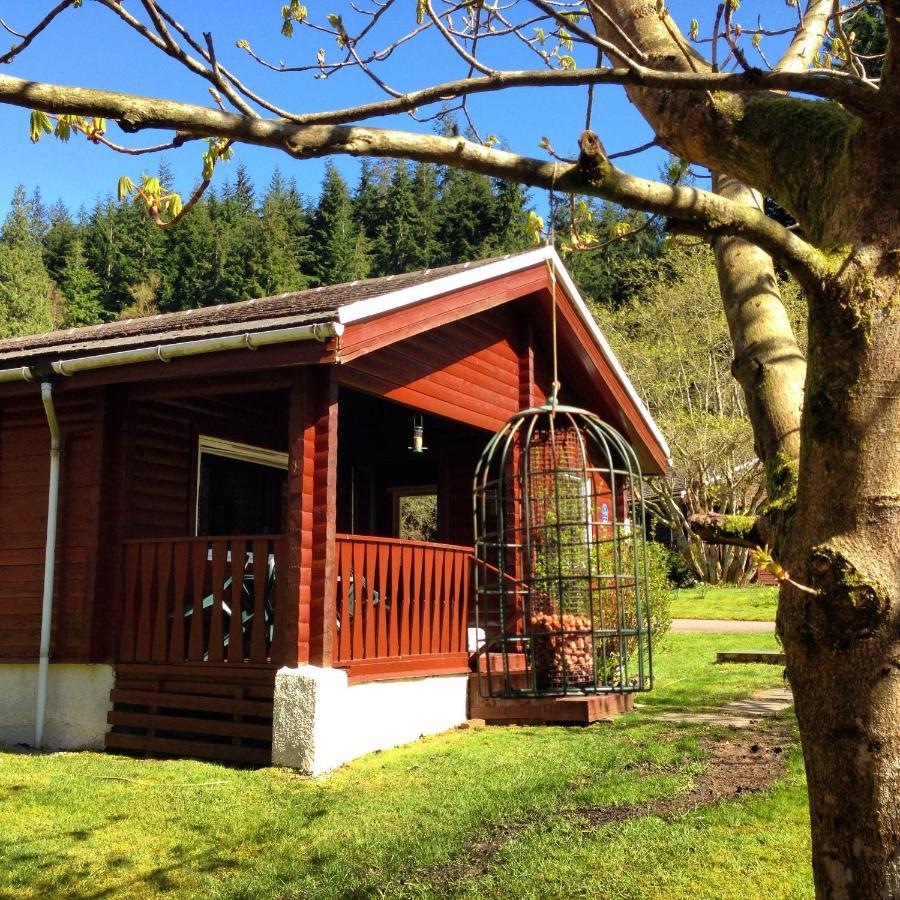 Stravaigin Lodge Dunoon Eksteriør billede