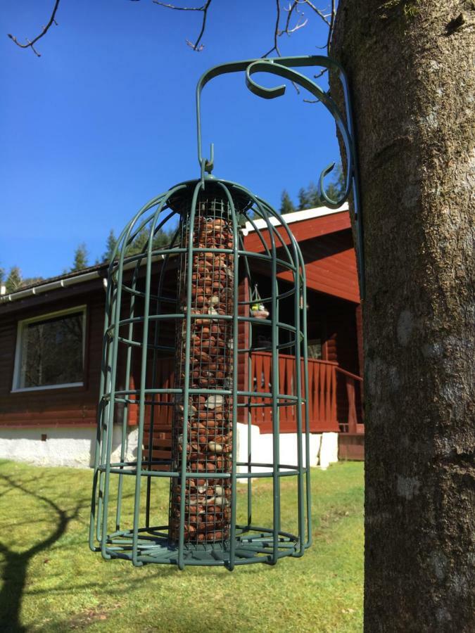 Stravaigin Lodge Dunoon Eksteriør billede